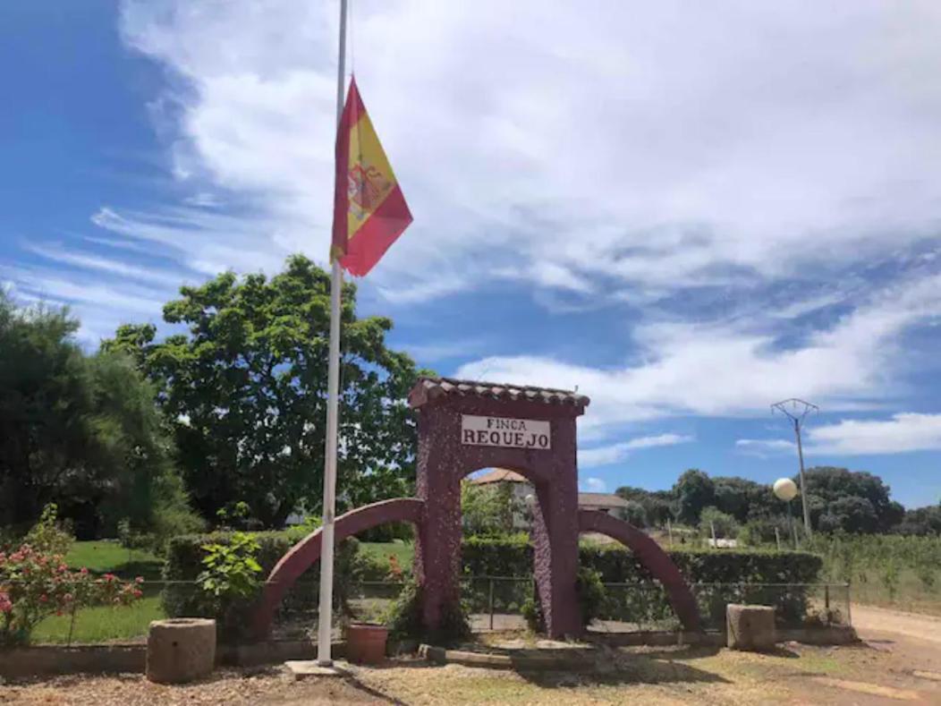 Casa Rural Finca Requejo Cerca De Benavente Tr 49426 Manganeses de la Polvorosa Luaran gambar