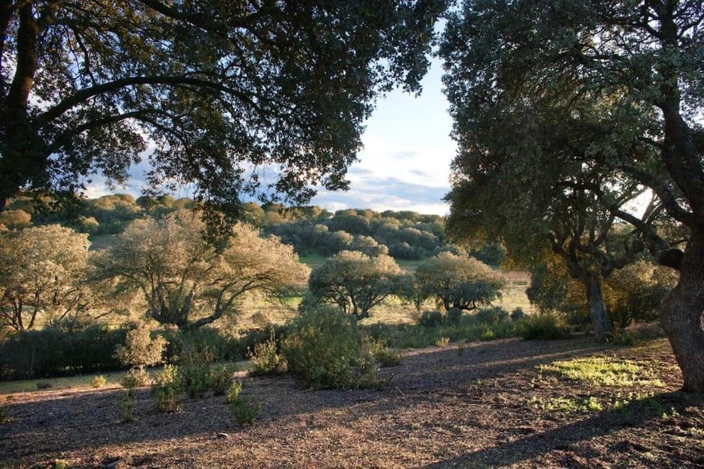 Casa Rural Finca Requejo Cerca De Benavente Tr 49426 Manganeses de la Polvorosa Luaran gambar