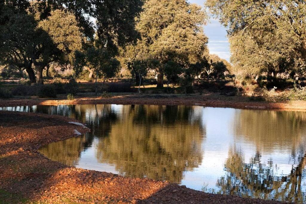 Casa Rural Finca Requejo Cerca De Benavente Tr 49426 Manganeses de la Polvorosa Luaran gambar